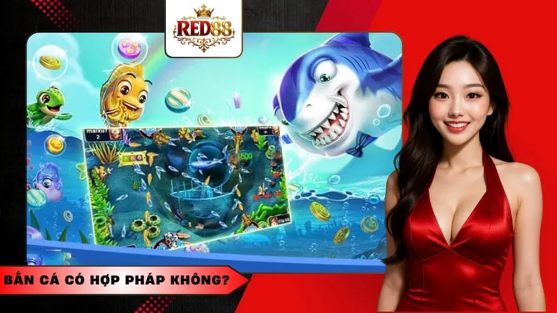 Bắn cá có hợp pháp không?